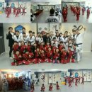 서초용인대태권도 이미지