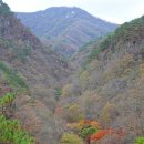 강천산군립공원(현수교) 이미지