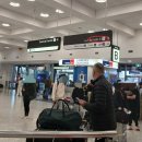 호주 | 시드니공항 픽업 | 트립호주 | 내돈내산 탑승 후기