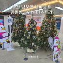 세그루 | 부산 남포역 지하상가 곰인형 크리스마스 트리 세그루 방문 후기