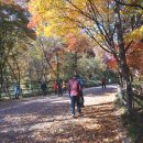 남산공원길 이미지