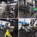 정일복싱 이미지