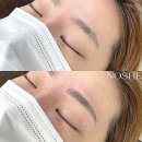 노쉬(NOSHE) 네이버블로그