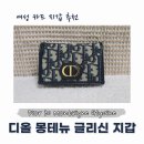 몽테뉴 | 30대 여성 명품지갑 추천 | 디올 30 몽테뉴 글리신 카드지갑 후기