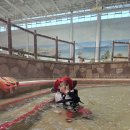 롯데워터파크(스파) | 김해 롯데워터파크 아이랑 후기, 실내·야외 하루 종일 놀아본 솔직후기