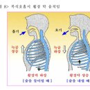 악기 호흡법과 관련한 자료들을 모아보았어요. 이미지