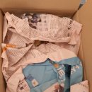 이집트 별꽃 펜타스🌟 (아이디플랜츠님)