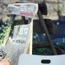 포도나무 민박 이미지