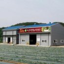 도산무청영농조합법인 이미지