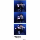 혹시 나도.. 힙한 핫걸? &#39; 포토스트리트 warm&amp;cool &#39; 방문후기📸💙