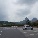 콩이카센타 이미지