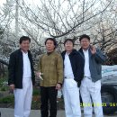 고흥봉황정 이미지