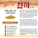 천미식품 네이버블로그