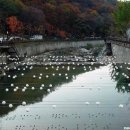 천국은불타고있다 이미지