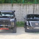 일산배기피트프로