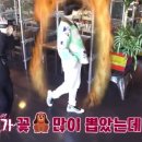 범규농장 네이버블로그