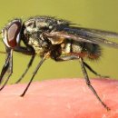 종만축산 이미지