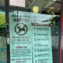 콩지pc | [경기 김포] 김포 애견카페 '오늘도 난 삐딱하개' 애견운동장에서 신나게 놀고 온 후기