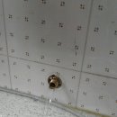 대동아파트 이미지