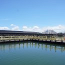 낚고락고 이미지