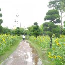 모현공원 앞 이미지