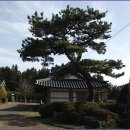 제주 서귀포 한라산 법화사(法華寺) 순례 ② 이미지