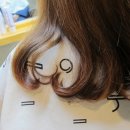 시내미용실 - 춘천시 | 시내미용실
