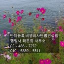 행정사 하문희사무소 이미지