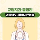 나경타운상가 | 경상남도 김해시 진영읍 교정치과 총정리
