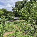 신내농장 이미지