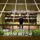 하안문화의집 일상부엌 | 서울 2월 잠실 롯데뮤지엄 전시 스틸 타사튜더 전시회 후기 (-3/15)