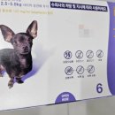 서정온누리약국 이미지