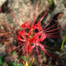 그린바다 이미지