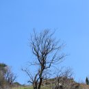 팔랑농산