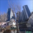 신재초교 이미지