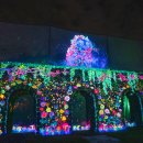 테마(야경 11~3월) | 제주도 서귀포 야경 명소 가볼만한곳 루나풀 야간 테마파크 이색체험