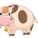 암소한마리 이미지