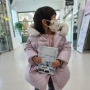 영월교육도서관 이미지