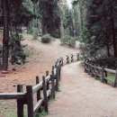 에스보스톤치과교정과치과의원 이미지