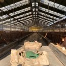 용인양계 이미지