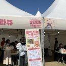 해람중학교 정문 입구 | [강릉 가볼만한곳] 2026 빵터지는 강릉 빵 페스타 방문 후기