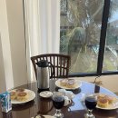 렛츠고여행사주 | [Week 6] 필리핀 세부 어학연수 6주차 후기 : 보라카이 여행 2탄 - 화이트비치🏝️☀️