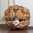 단또