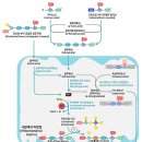 서영택치과의원 이미지