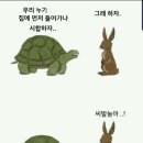 토끼와거북이
