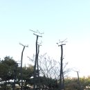 청동솟대-대구새 이미지