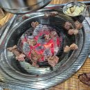 은행나무갈매기 이미지