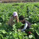 신용농장 이미지