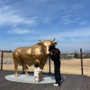 한우목장 | 서산 해미읍성 맛집 영성각 후기ㅣ한우목장 갔다가 들린 중식당