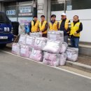 강원이불 Daum카페